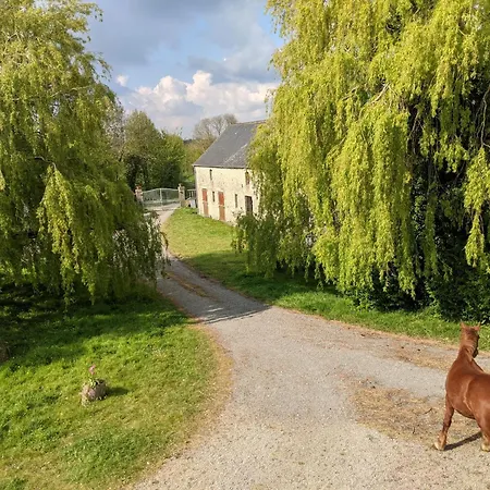 Du Coq A La Ferme De Franqueville
