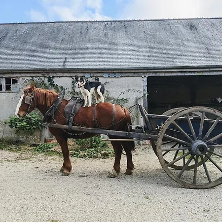 Du Coq A La Ferme De Franqueville Bed & Breakfast Sainte-Marie-du-Mont (Manche)